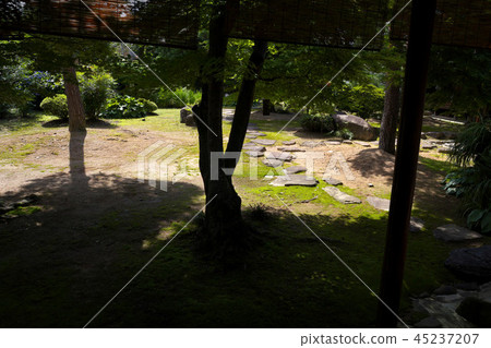 Takayama Jinya Garden 45237207