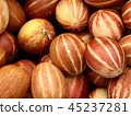 Small striped Vietnamese melons 45237281