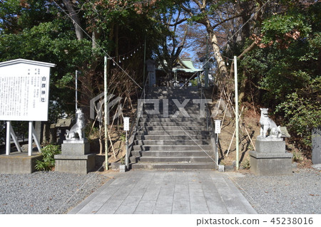 藤澤市白班神社 45238016