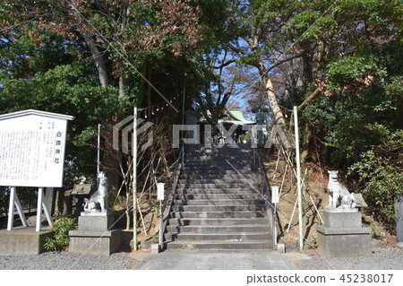 藤澤市白班神社 45238017