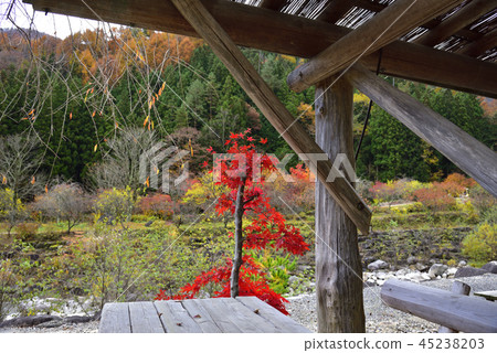 <秋葉>長野Achi Momiji Aokiya Fishingbori <秋葉>長野Achi Momiji Aokiya Fishingbori 45238203