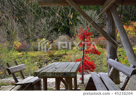 <秋葉>長野Achi Momiji Aokiya Fishingbori 45238204