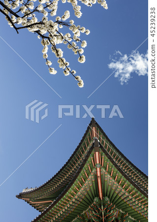 Gyeongbokgung Gyeongbokgung 45239238