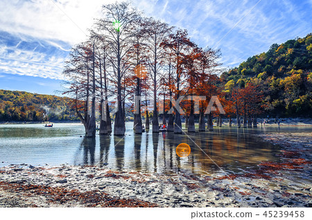 Cypress trees dot a pond in Sukko. 45239458