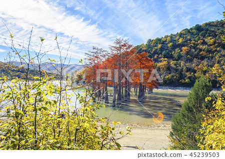 Cypress trees dot a pond in Sukko. 45239503