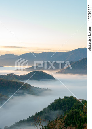 秋葉秋葉清早多雲海 秋葉秋葉清早多雲海 45239523