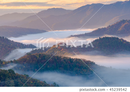 秋葉秋葉清早多雲海 秋葉秋葉清早多雲海 45239542