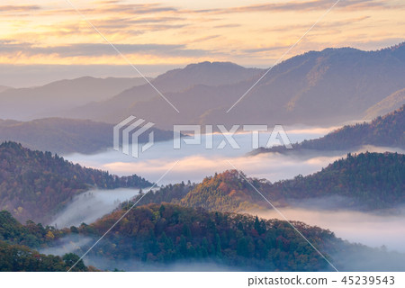 秋葉秋葉清早多雲海 秋葉秋葉清早多雲海 45239543