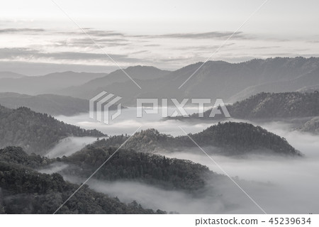 (Monochrome) Oyin Yu autumn leaves (Monochrome) Oyin Yu autumn leaves 45239634