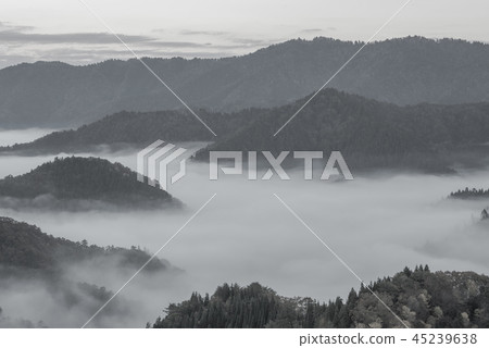 (Monochrome) Oyin Yu autumn leaves (Monochrome) Oyin Yu autumn leaves 45239638