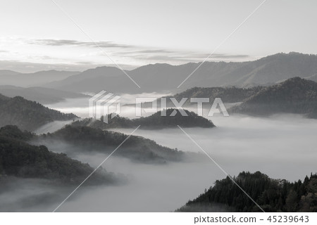 (單色)Oyin Yu秋葉 (單色)Oyin Yu秋葉 45239643
