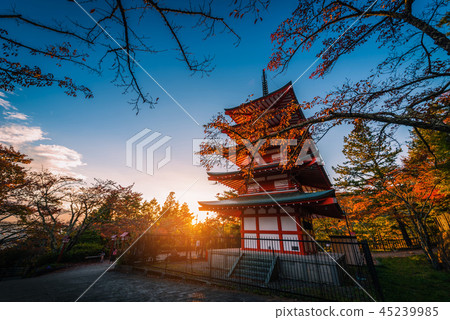 Chureito Pagoda and red leaf in the autumn Chureito Pagoda and red leaf in the autumn 45239985