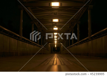 走廊在晚上 45239995