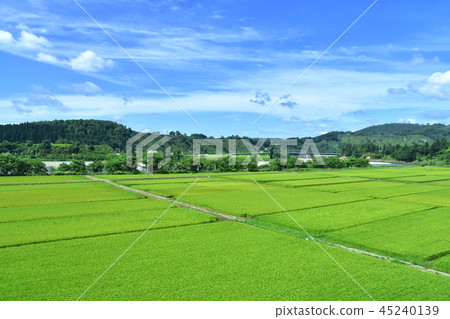 View from the train window from Echigo-Kawaguchi Station to Ojiya Station on the JR East Joetsu Line 45240139