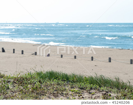 fences on sand beach fences on sand beach 45240206