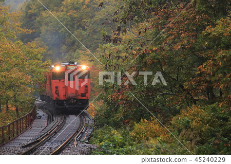 秋葉Tadami線 45240229