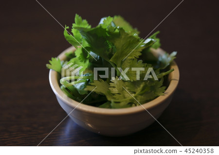 Coriander Coriander 45240358