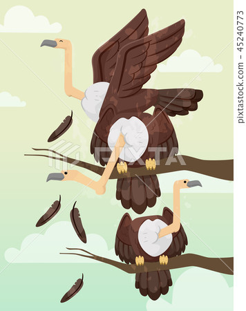 Group Vulture Committee Illustration 45240773