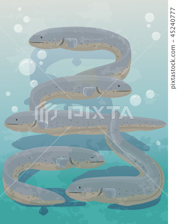 Electric Eel Swarm Illustration Electric Eel Swarm Illustration 45240777