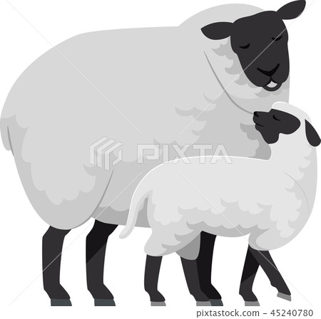Sheep Lamb Illustration Sheep Lamb Illustration 45240780
