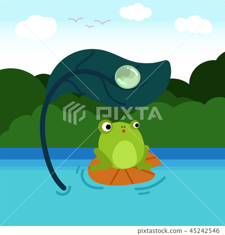 Frog in the river Frog in the river 45242546