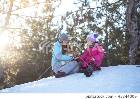 the happy family the happy family 45244009