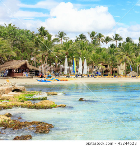 Vacation in Dominican Republic 45244528