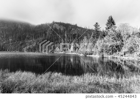 Plesne Lake and Plechy Mountain in autumn. Sumava National Park, Czech Republic 45244843