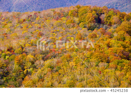 Mt. Izumigatake 45245238
