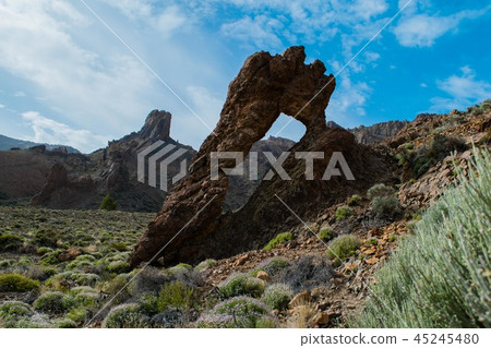 Queen's Shoe (zapato de la reina) in Teide Queen's Shoe (zapato de la reina) in Teide 45245480