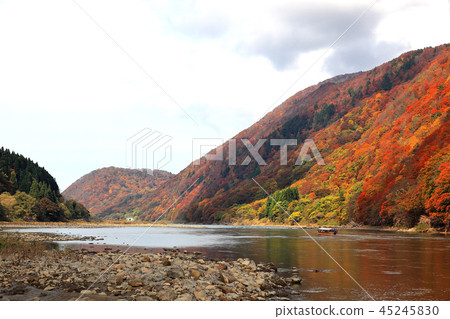 Autumnal leaves Mogami River descent Autumnal leaves Mogami River descent 45245830