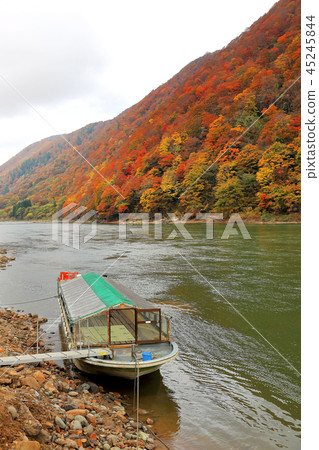 Autumnal leaves Mogami River descent Autumnal leaves Mogami River descent 45245844
