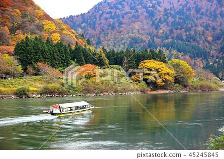 Autumnal leaves Mogami River descent 45245845