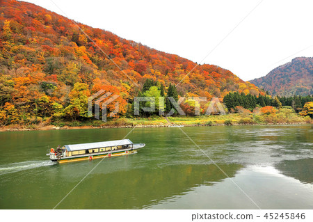 Autumnal leaves Mogami River descent 45245846