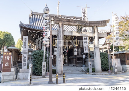 Kushida Shrine 45246530