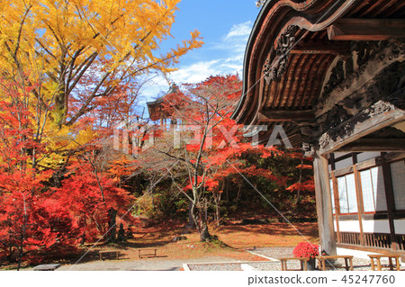 Rei Matsudera的信濃大町秋天的古墓 45247760