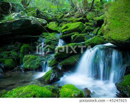 裝載Moss Valley(1) 裝載Moss Valley(1) 45247925