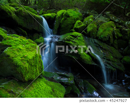 裝載Moss Valley(3) 裝載Moss Valley(3) 45247927