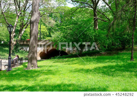 紐約中央公園 紐約中央公園 45248292