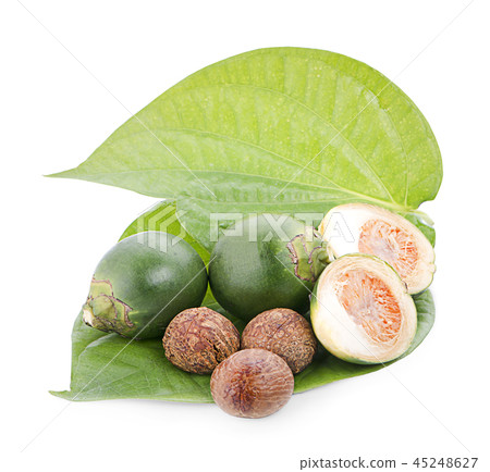 fresh betel nut on betel leaf isolated on white fresh betel nut on betel leaf isolated on white 45248627