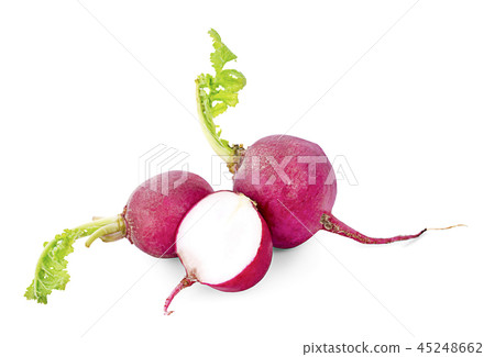 Fresh garden radish isolated on white background Fresh garden radish isolated on white background 45248662