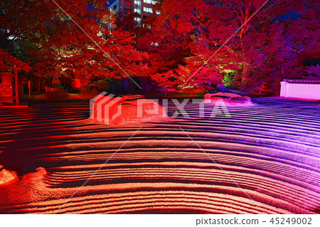 Hagi Matsuyama Joten-ji Temple Hakata Light Up Walk (Hakata Centennial Night) 45249002