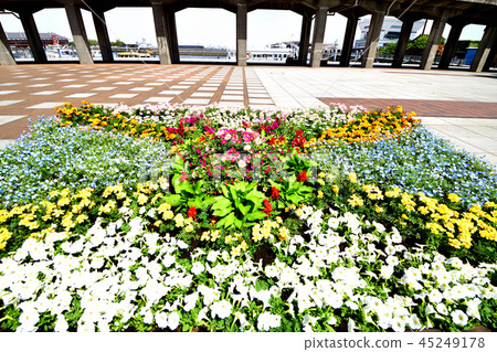 A flower bed specially built for the statue nose park 45249178