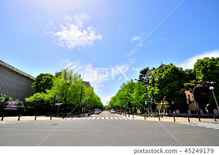 Statue nose park and fresh green Japanese boulevard 45249179