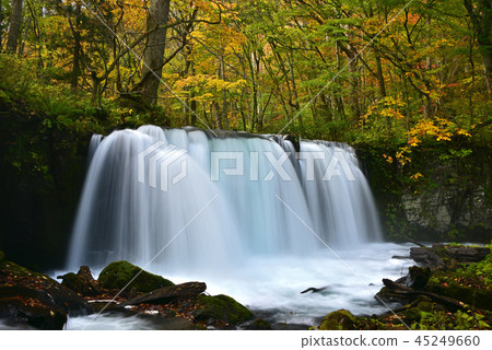 有秋葉的奧入瀨峽谷 有秋葉的奧入瀨峽谷 45249660