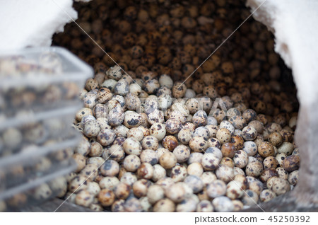 Quail eggs in a street market Quail eggs in a street market 45250392