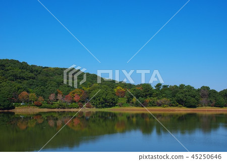 Su訪池塘雲仙城自然 Su訪池塘雲仙城自然 45250646