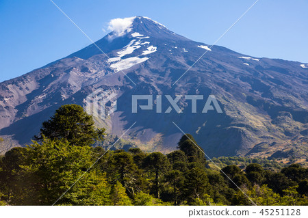 View of Lanin Volcano in National Park of Argentina 45251128