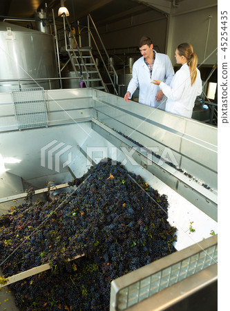 Two engineers of winery controlling process Two engineers of winery controlling process 45254435