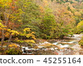 Fall of Shirohakyo 45255164